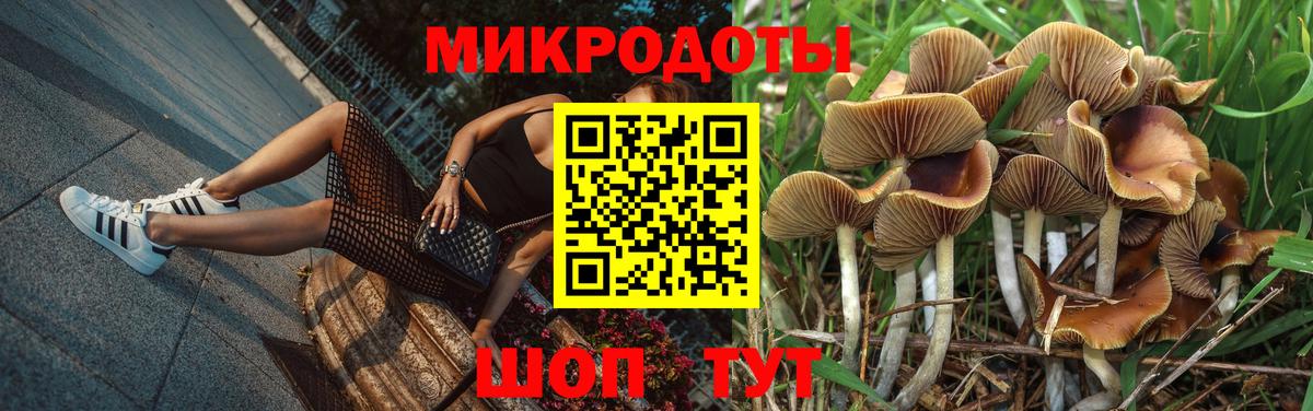 Псилоцибиновые грибы Magic Shrooms  Галлюциногенные грибы мухоморы  наркошоп  Октябрьский  Вход с VPN 
